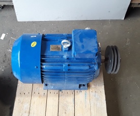 Elektromotor Cantoni 18.5 kw, 2.930 rpm 