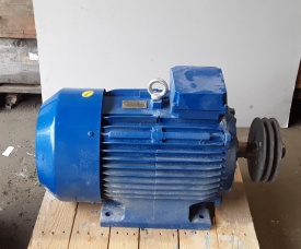 Elektromotor Cantoni 18.5 kw, 2.930 rpm 