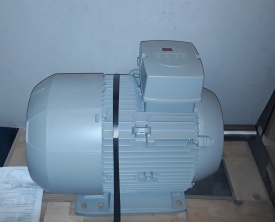 5 x Elektromotor Siemens 18.5 kw, 2.955 rpm 